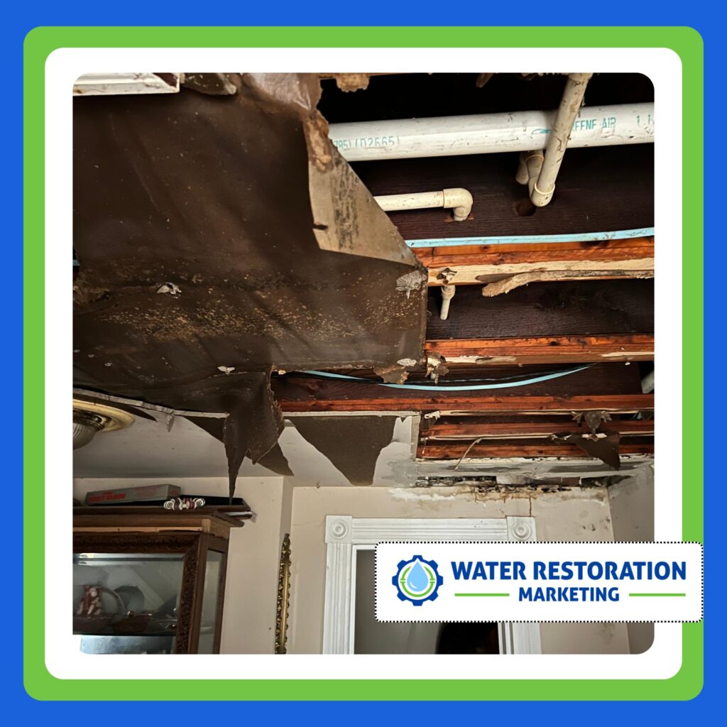 Top 3 Marketing Services for Water Damage Firms