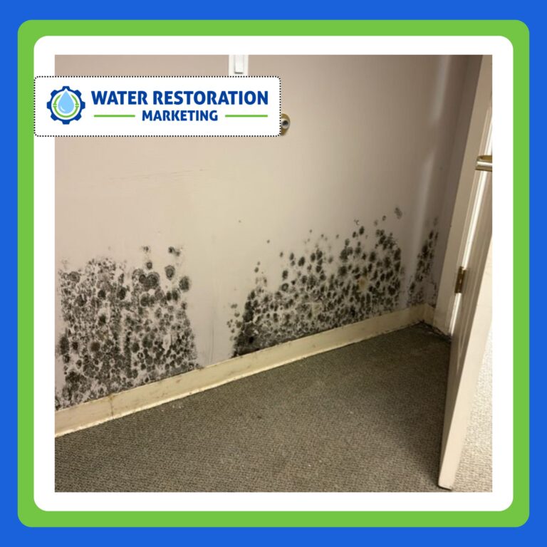 7 Best Lead Generation Tactics for Water Damage Contractors