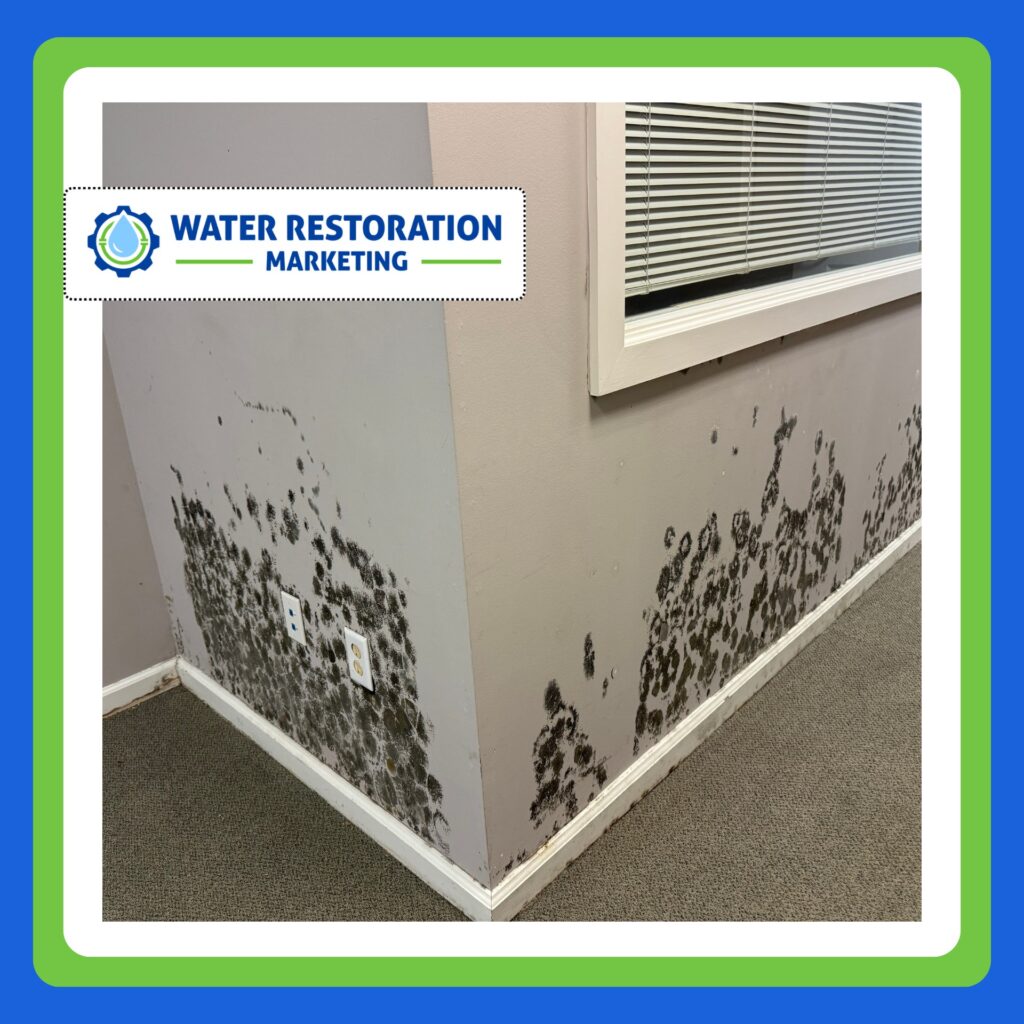 5 Tips for Generating Water Damage Leads