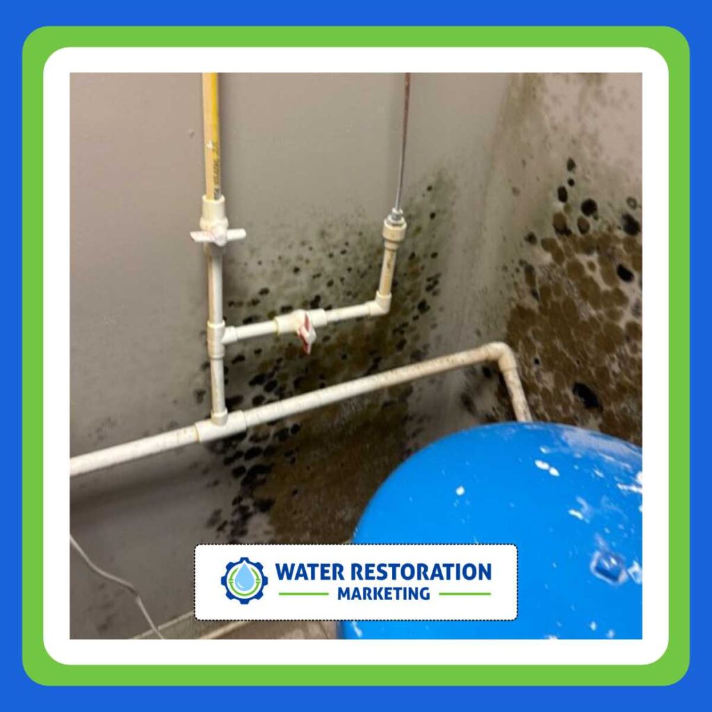 Mold growth near plumbing pipes