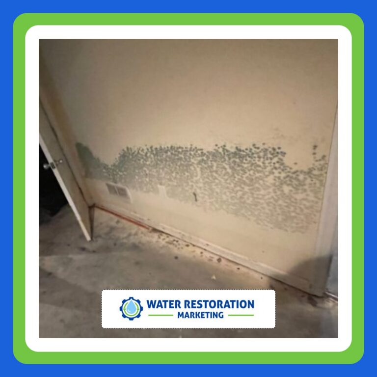 Enhancing Google Reviews for Contractors: A Guide