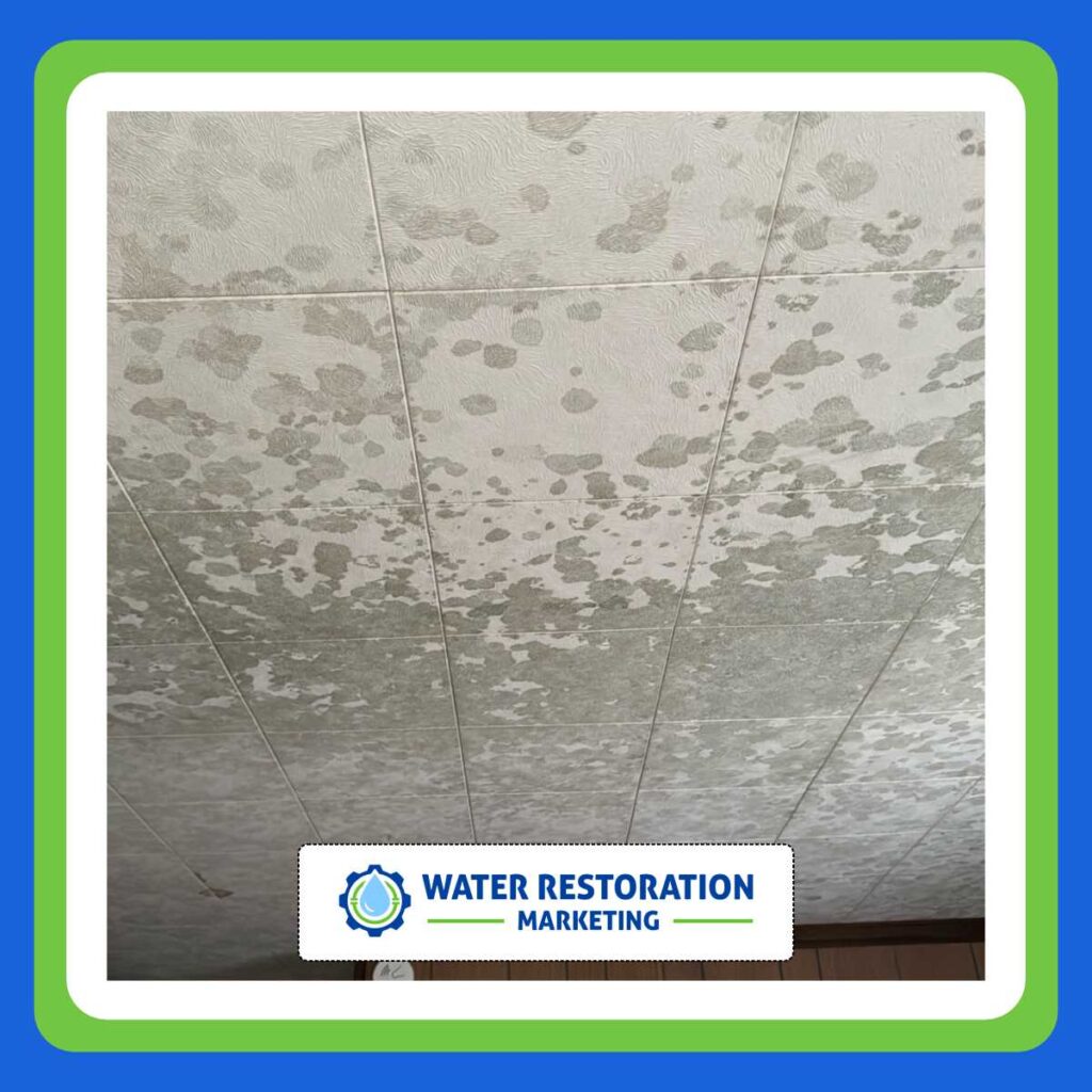 Moldy ceiling in need of restoration