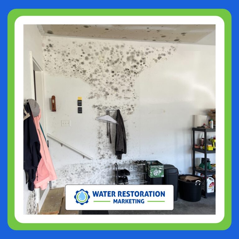 Moldy garage wall needing restoration