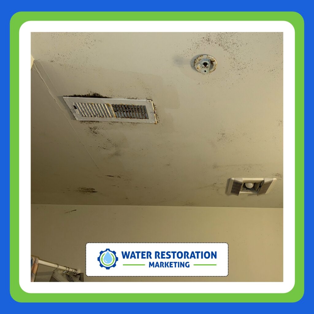 Moldy ceiling in need of restoration