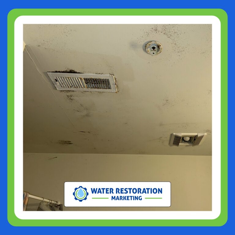 Moldy ceiling in need of restoration