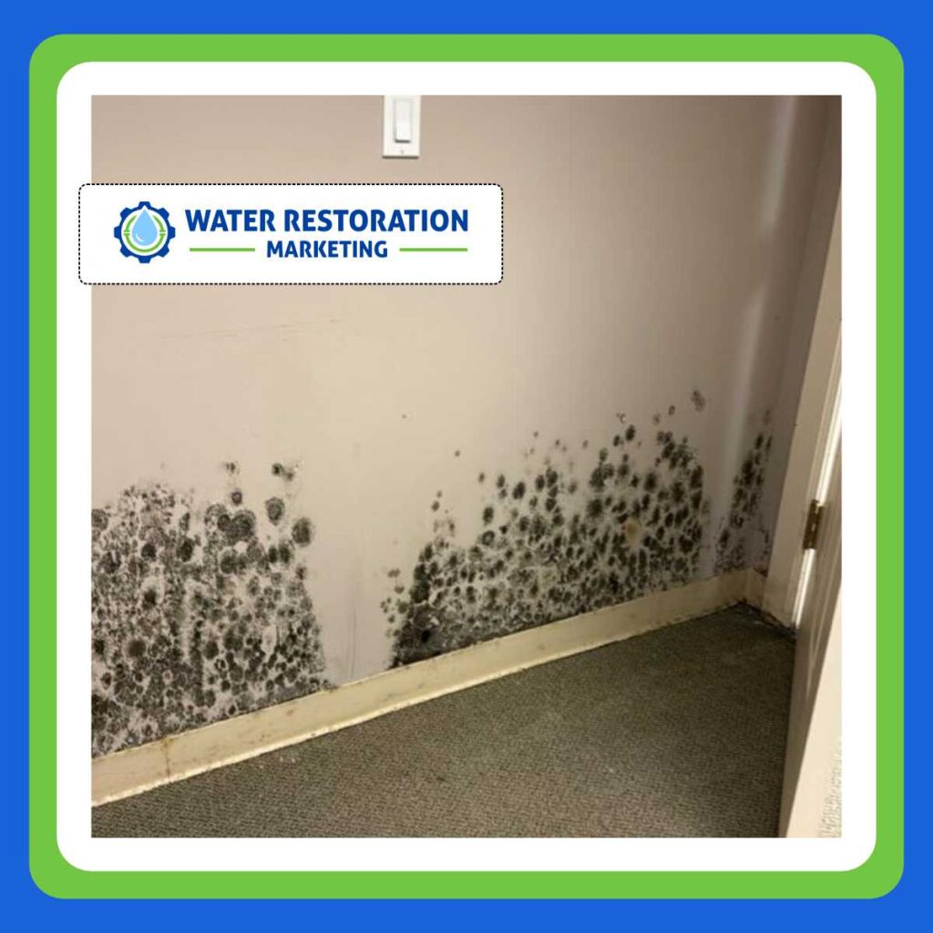 How to Boost Restoration Leads With Paid Ads