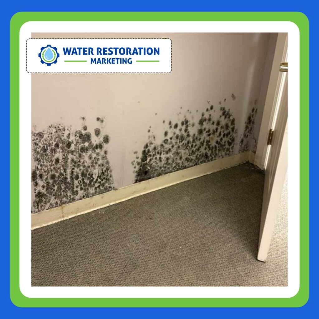 Top Email Strategies for Restoration Lead Generation