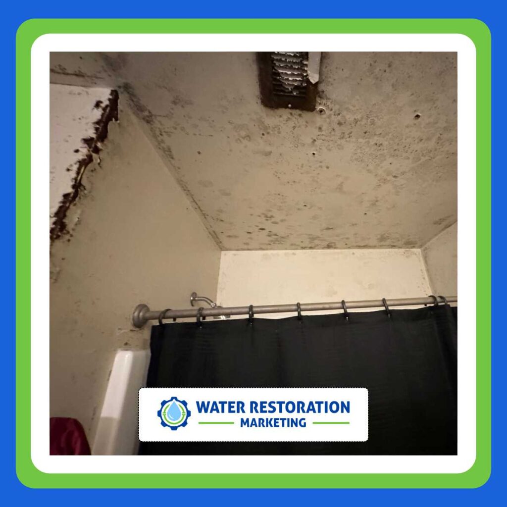 Mold growth in bathroom ceiling area.