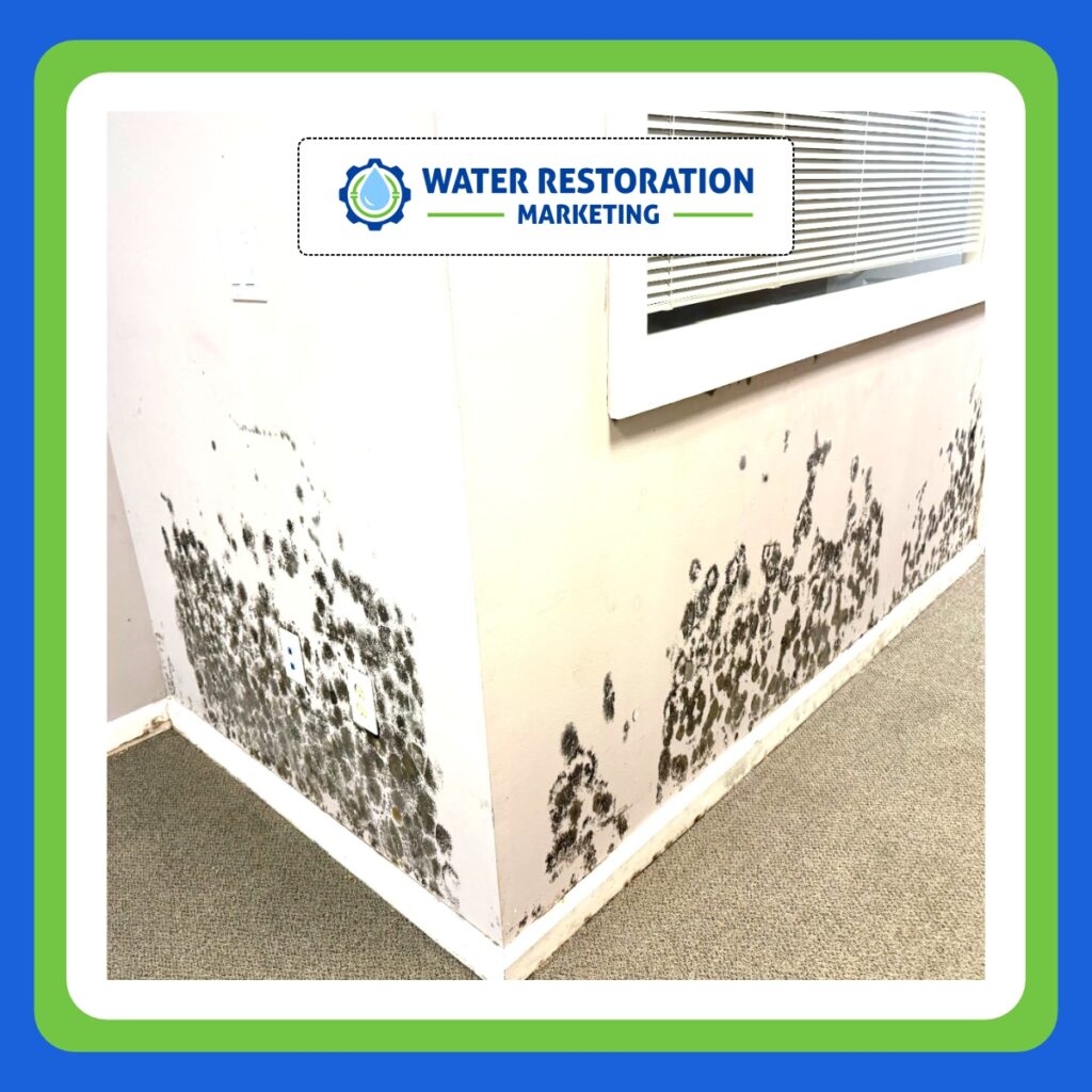 Mold growth on interior wall corner