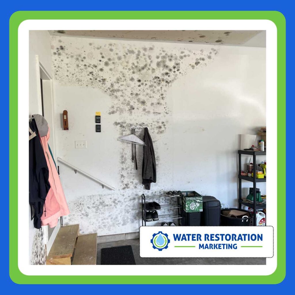 Top Paid Advertising Tactics for Water Damage Services