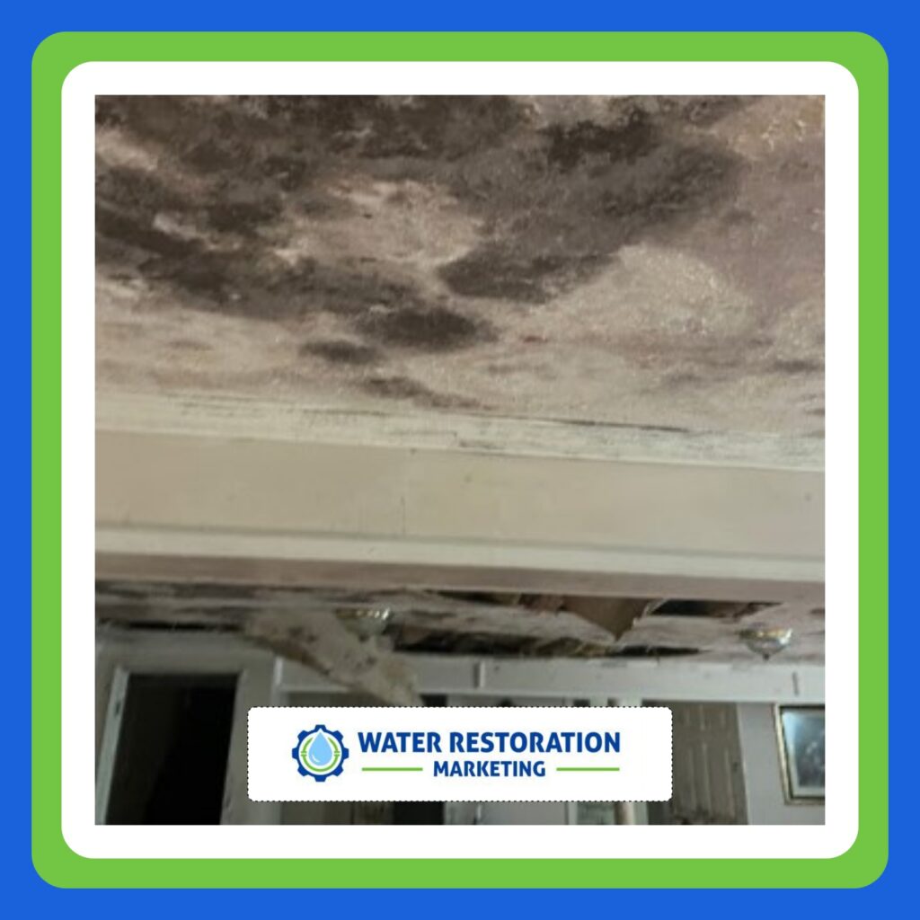 Website Design Tips for Restoration Contractors