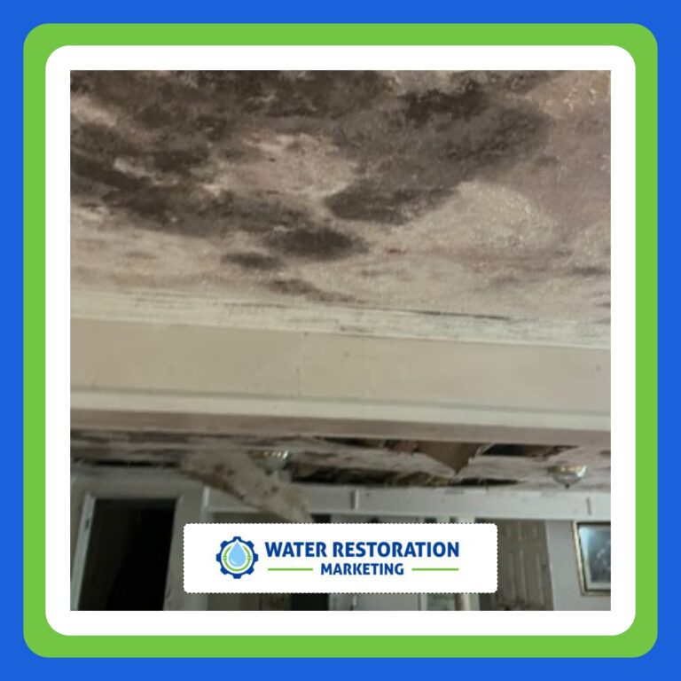 Website Design Tips for Restoration Contractors