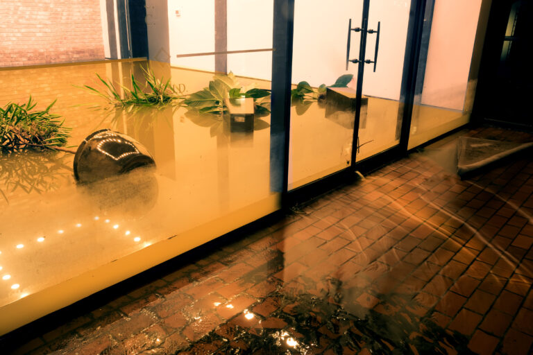 What Google Ads Strategies Boost Water Damage Leads