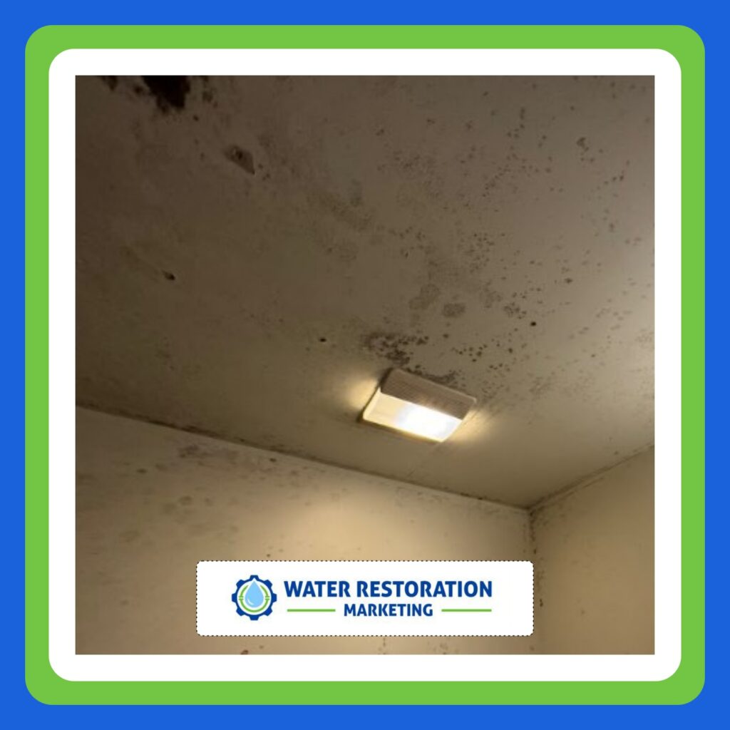 Why Focus on Online Reputation for Restoration Contractors?